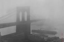 NYC AIPAD REVIEW