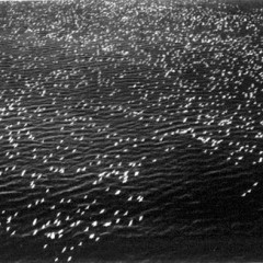 Two Bourke-White photographs sell from the Polaroid Collection