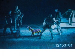 Banksy's Police Arrest banksy's pinata police