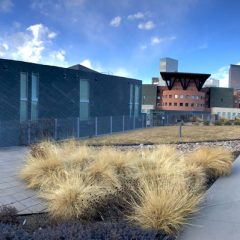 Iconic Denver Cultural Homes – Museum Residences