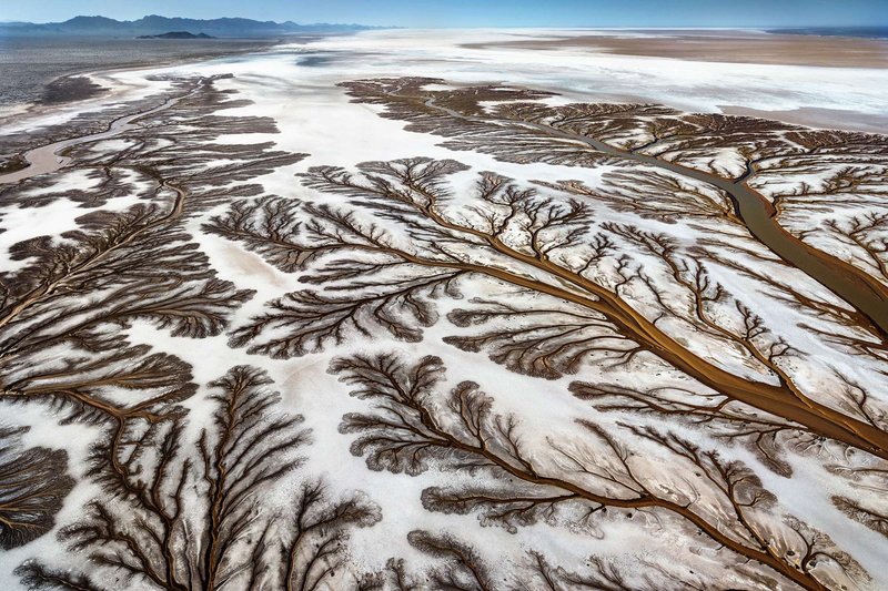 Paul Nicklen, Rio del Mar — The Mouth, aerial of the Colorado River Delta